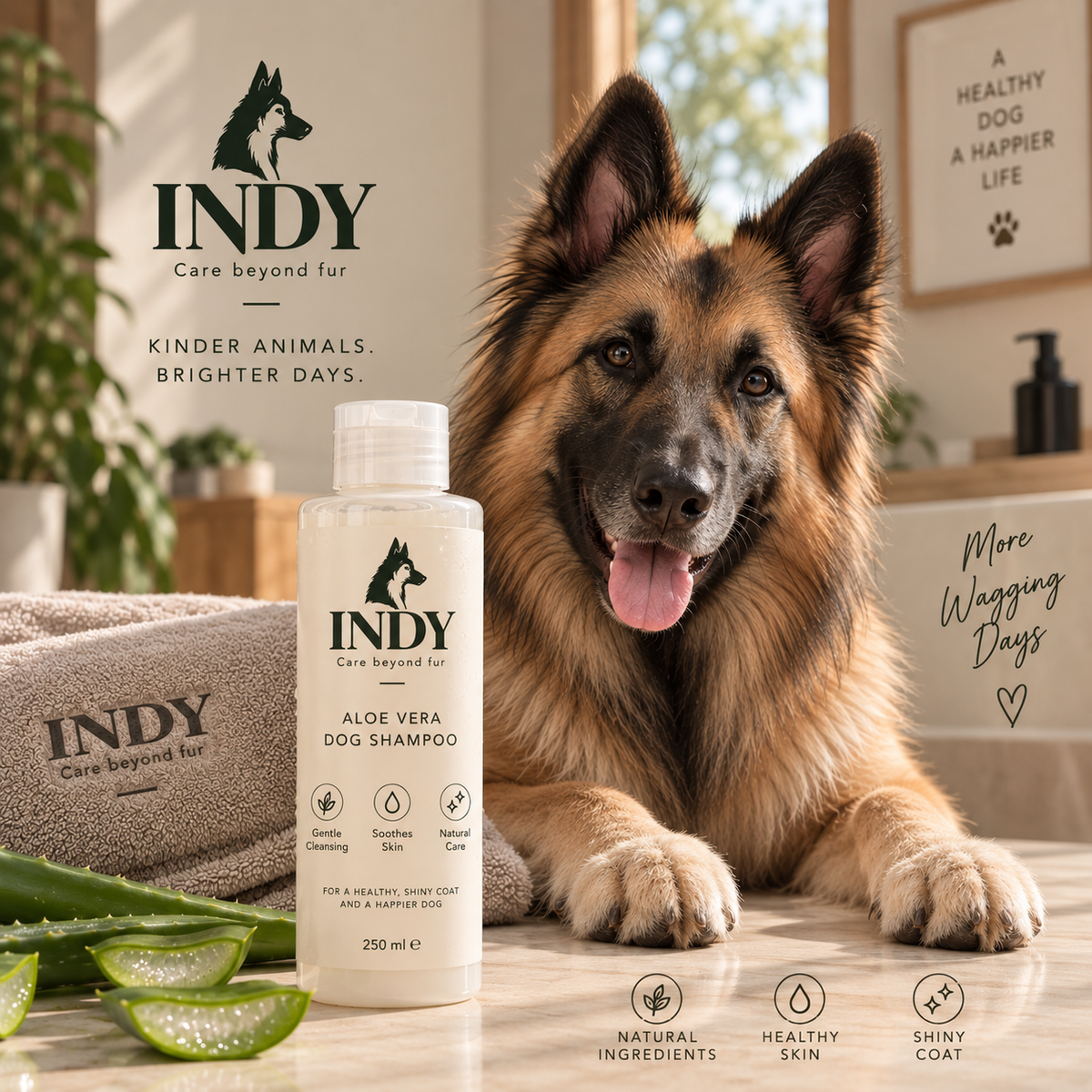 INDY Aloe Vera Dog Shampoo 250 ml met Tervuerense herder Indy